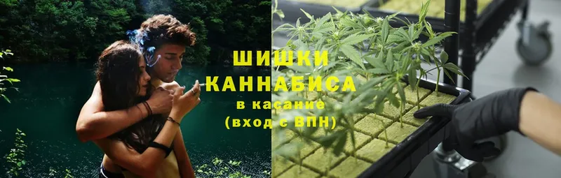 Бошки марихуана SATIVA & INDICA  наркотики  Барабинск 